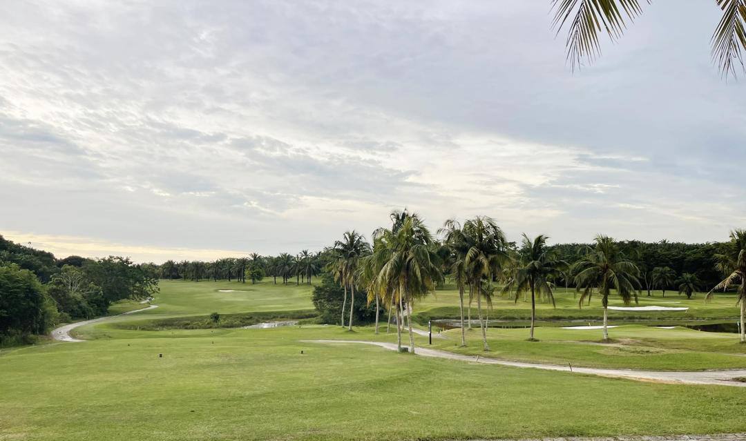 Course View