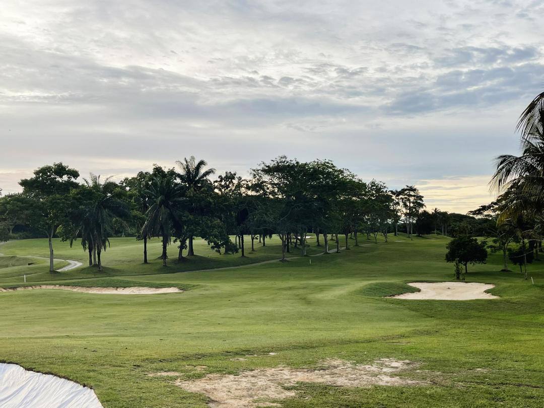 Course View