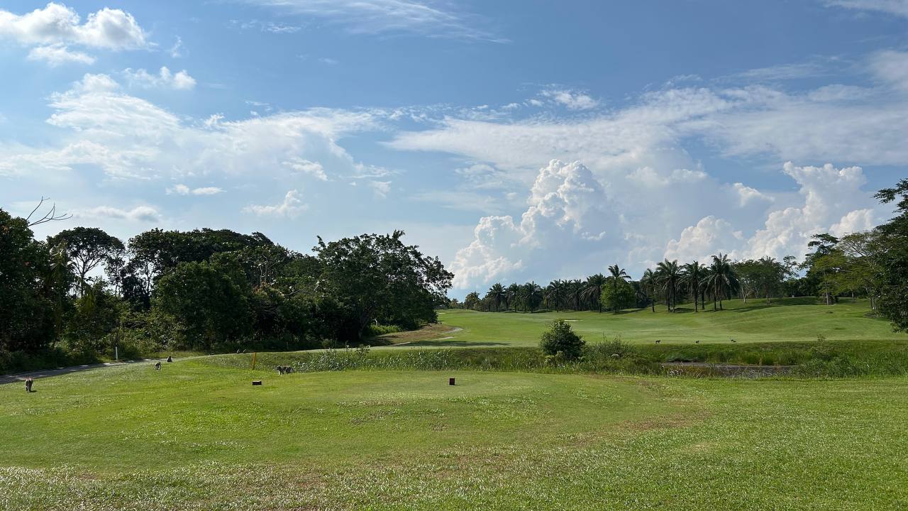 Course View